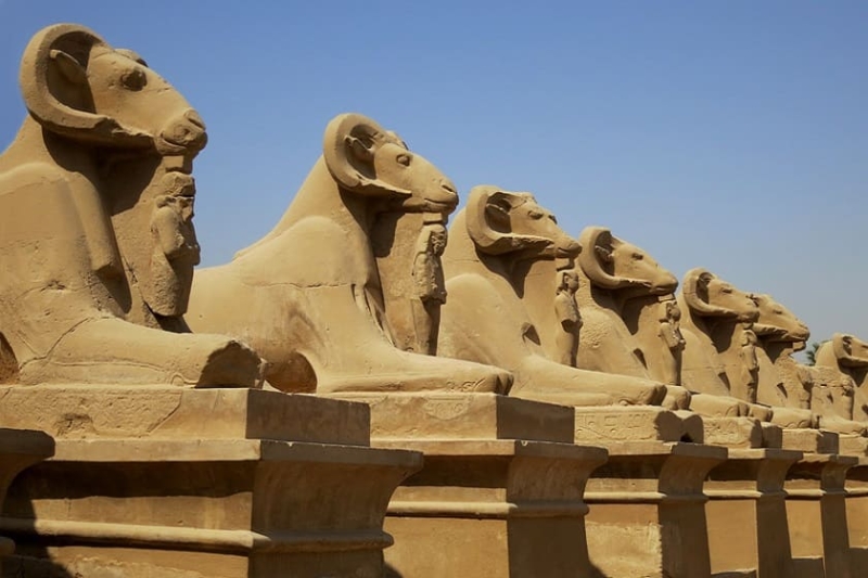 Рейтинг туроператоров по Египту за 2022 год