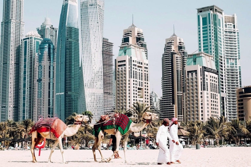 Рейтинг туроператоров по ОАЭ за 2022 год