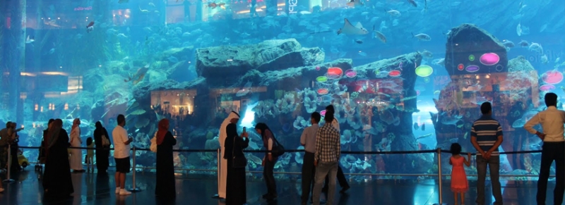 Шопинг и развлечения в торговом центре Dubai Mall